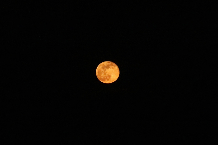 moon ?
