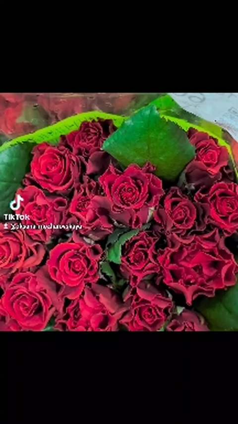 roses