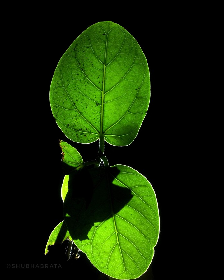 Light in the Darkness