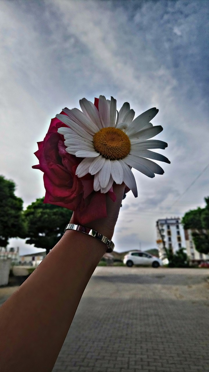 flower