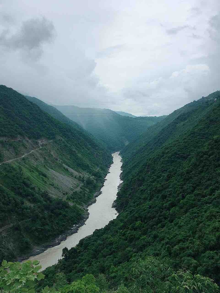 lush green india