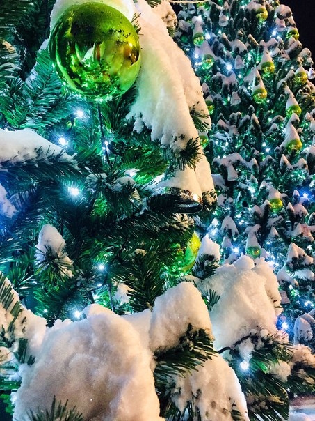 winter