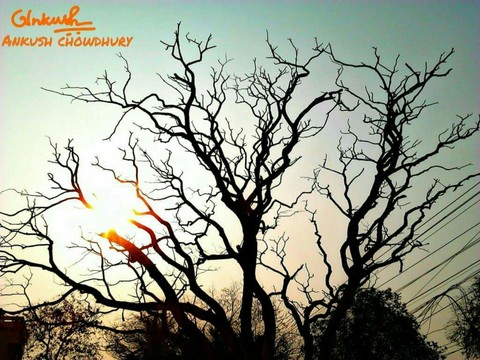 midday sun