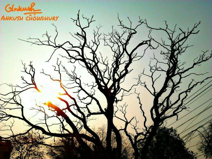midday sun