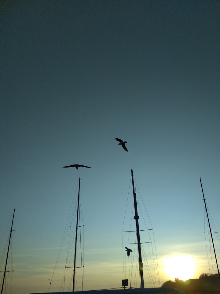 sea