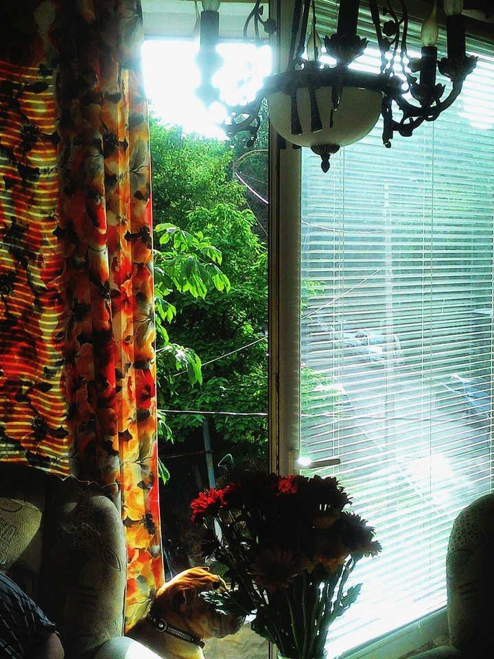 summertime )