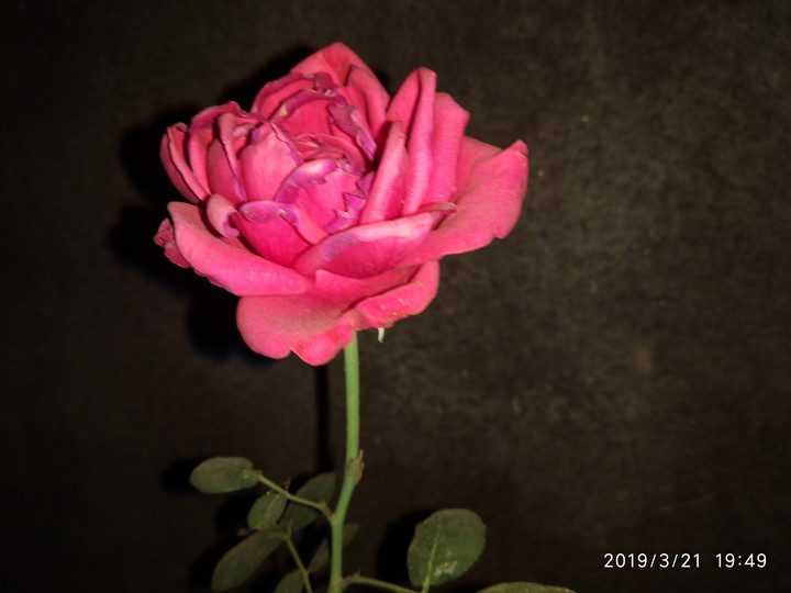 for u