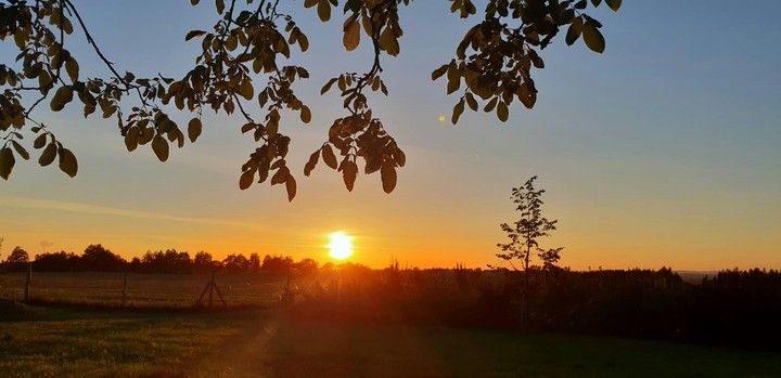 sun
