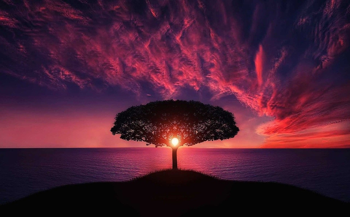 Beautifull sunset with a tree