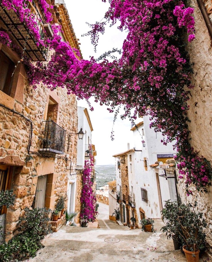 #street
