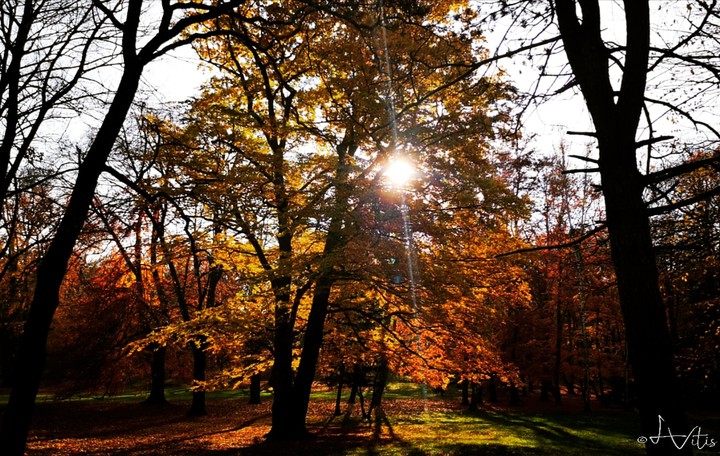 Autumn sunshine