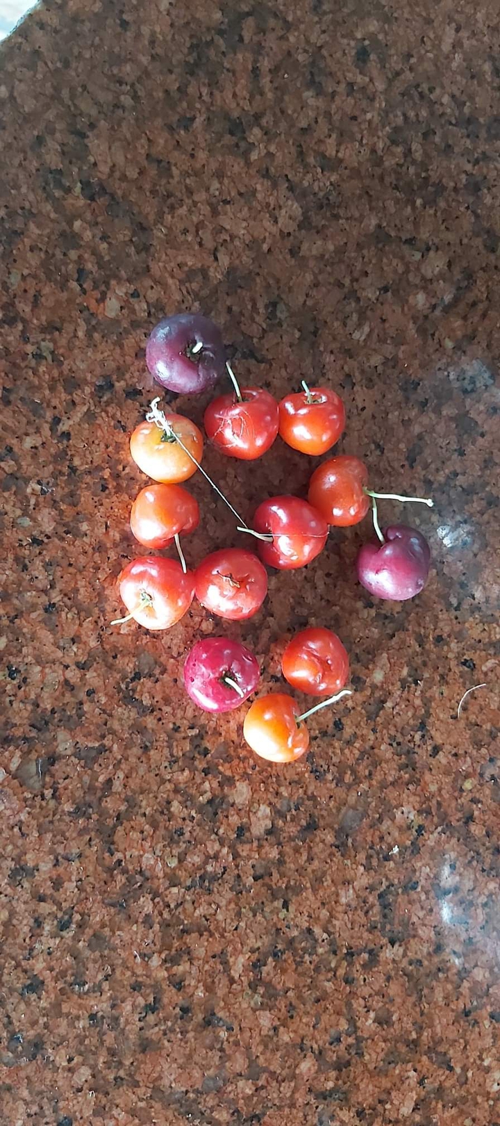 nice fruit