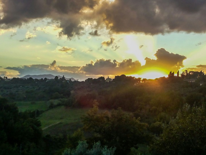 Sun over the wild