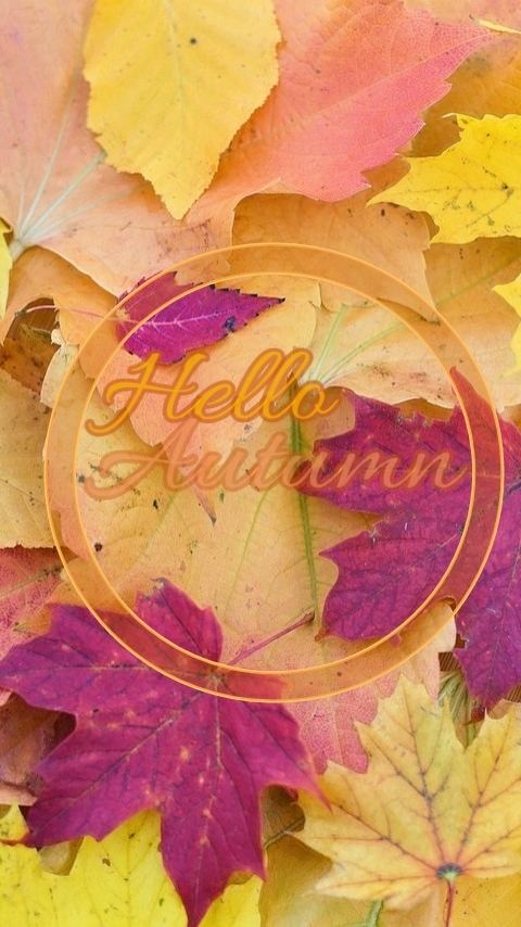 Hello Autumn