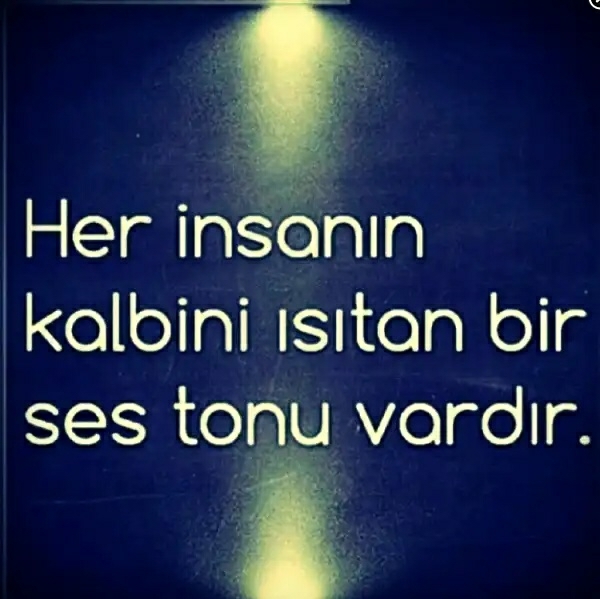 elefirrr