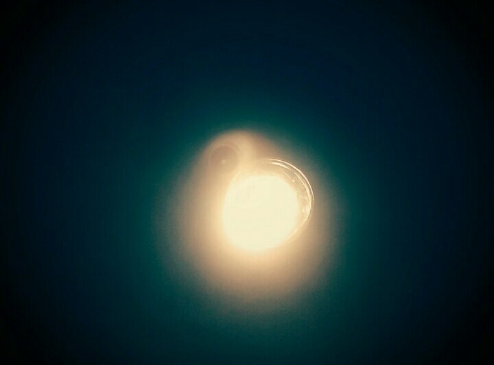 alien