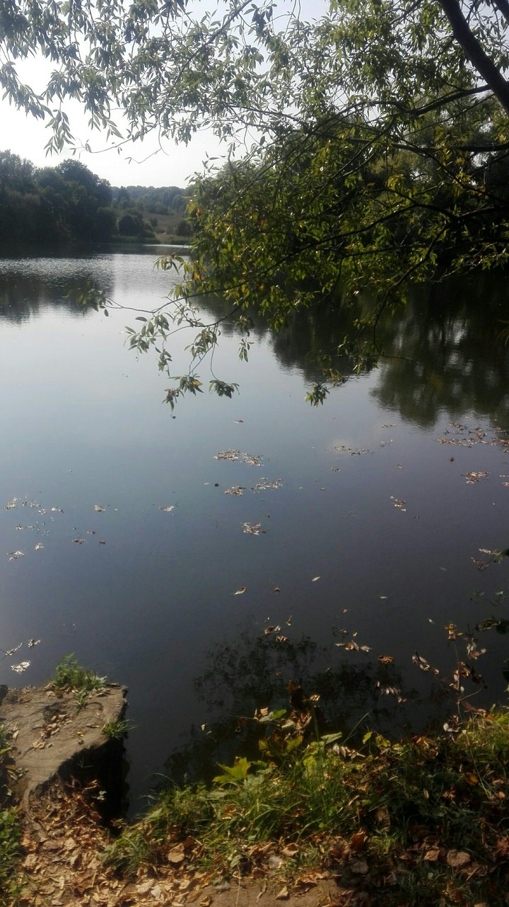 Водная гладь