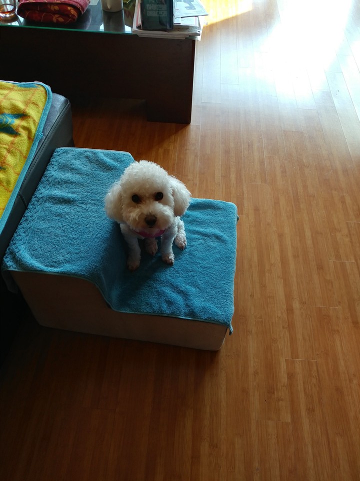 mom~ am I cute?^^