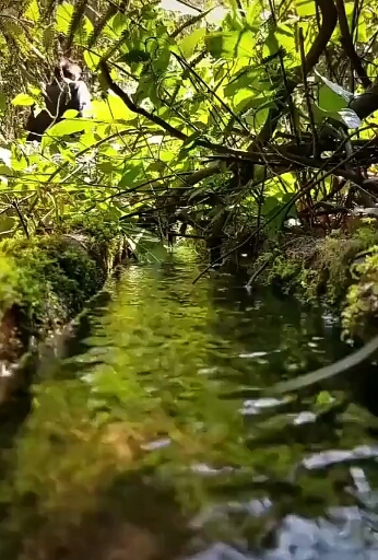 Nature?????