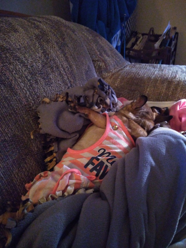 Sleeping Baby