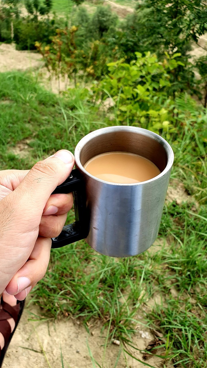 Cup of Tea