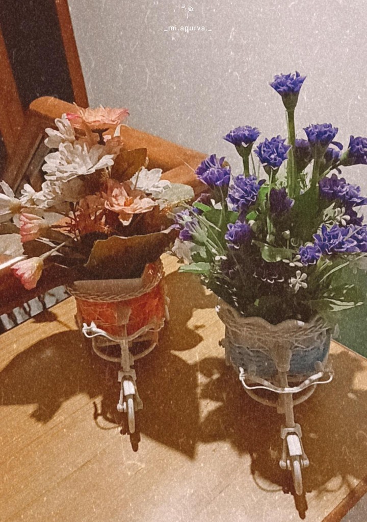 Cycles of flowers