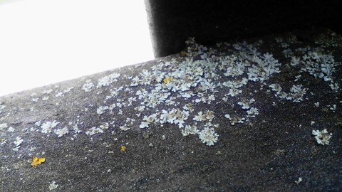 asphalt, mineral wallpapers