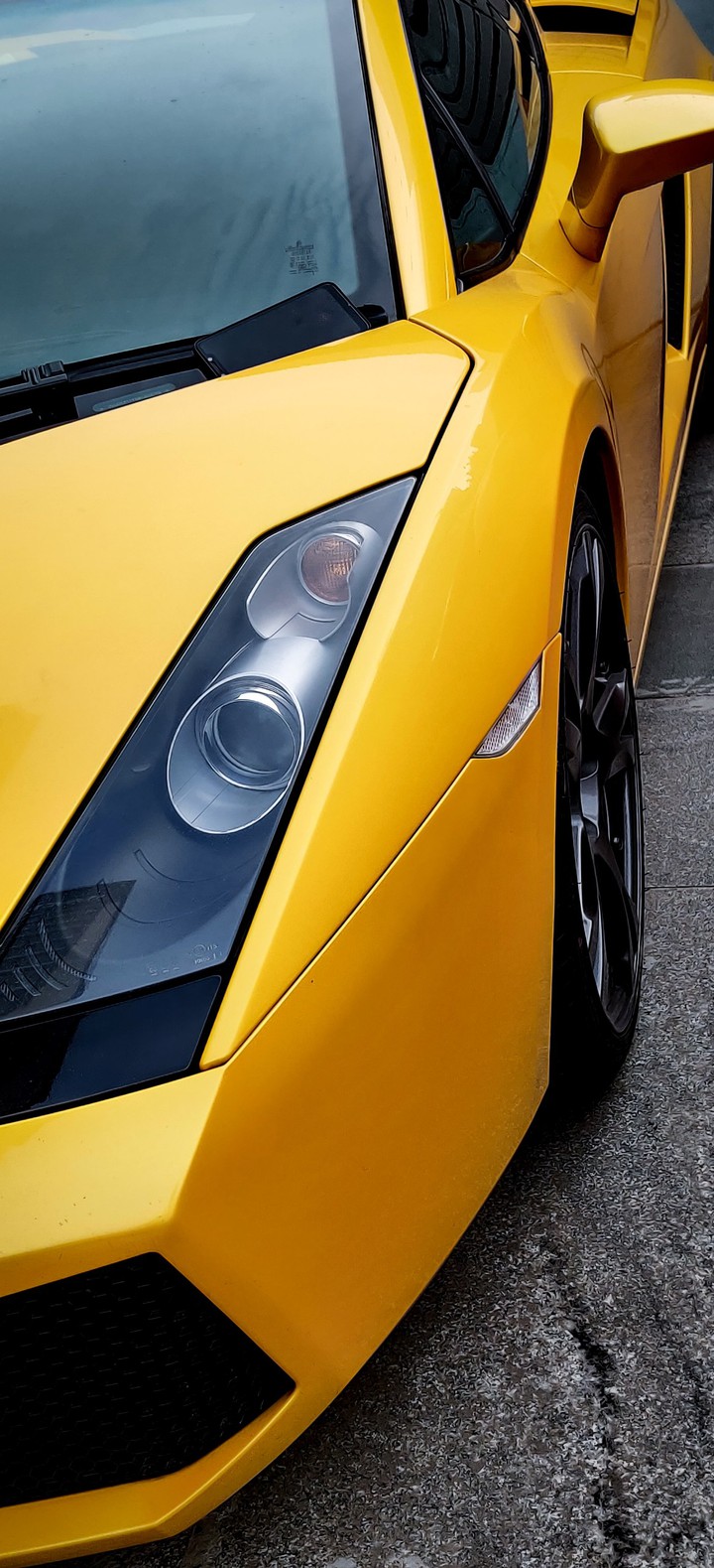 Yellow Lambo Love