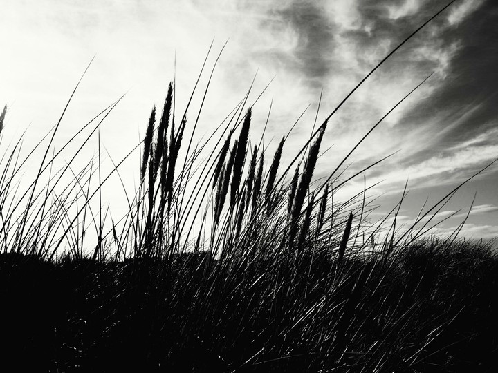 Rising Storm
