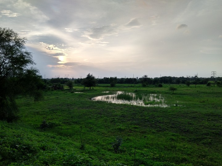 nature's way