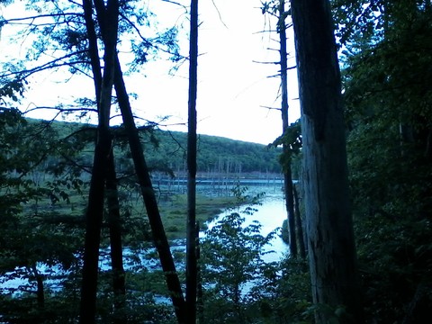protected land