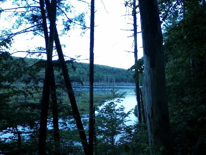 protected land
