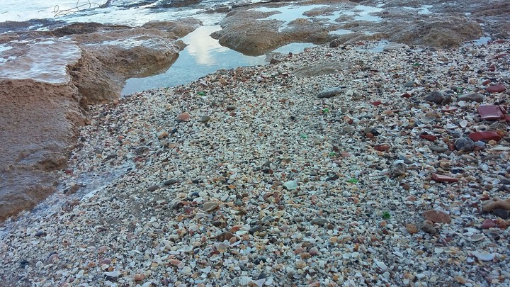 sea