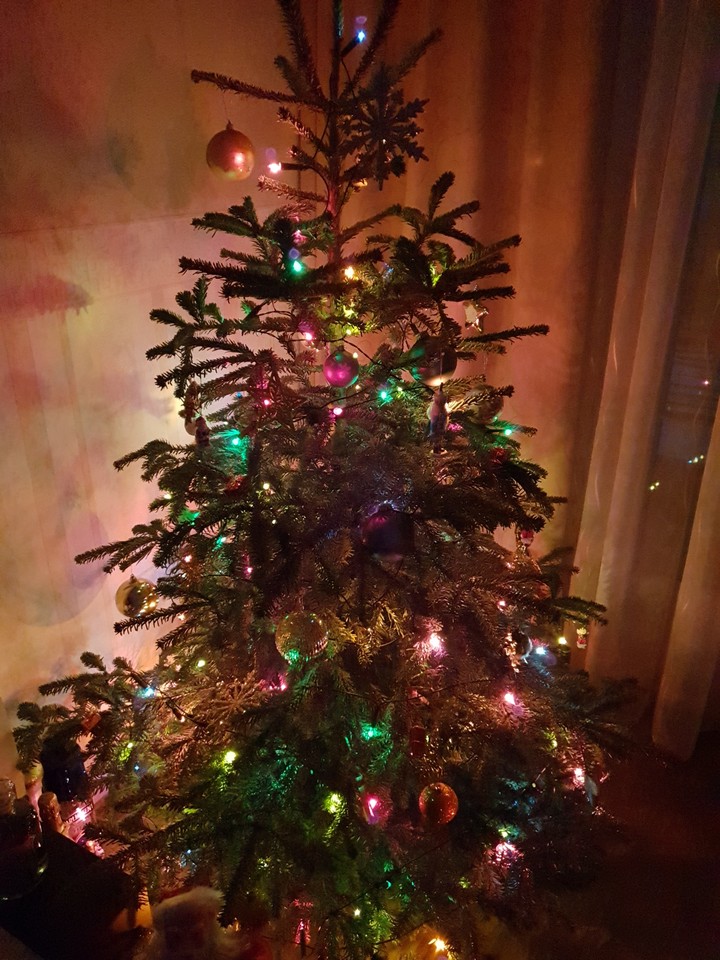 Christmas Tree