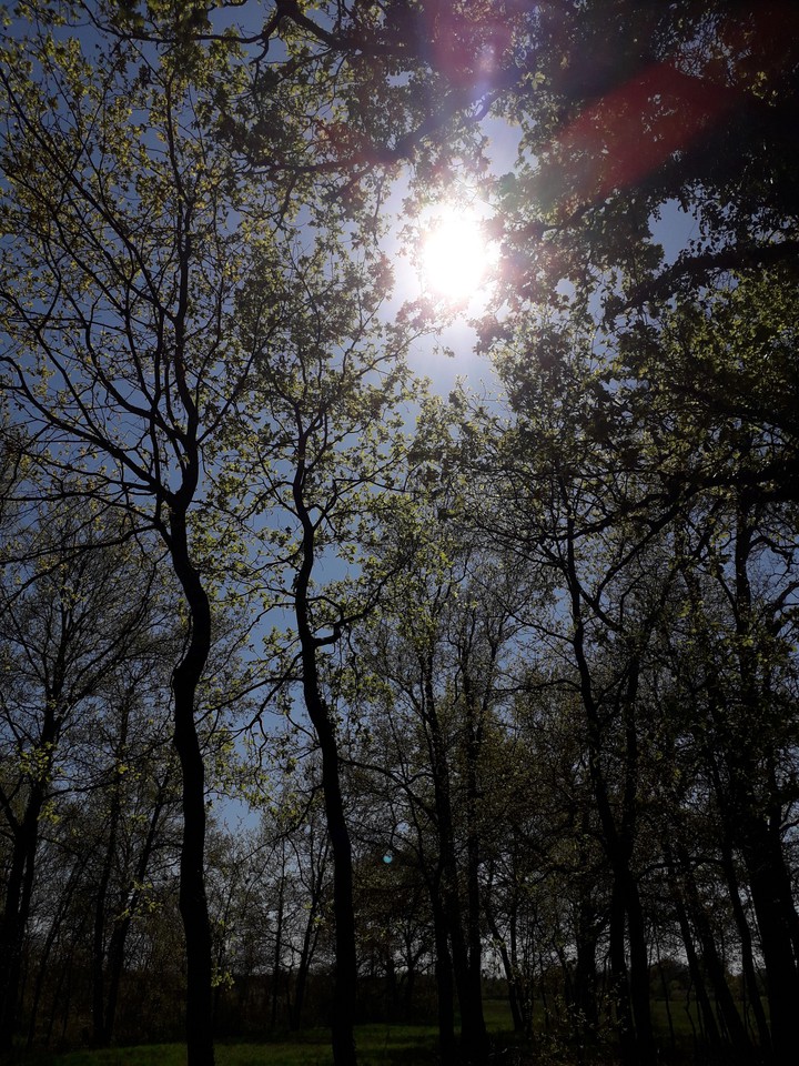 nature