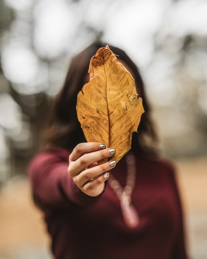 women hilding a leaf