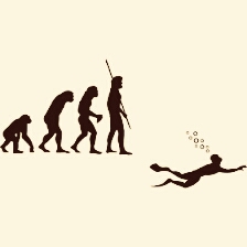 evolution