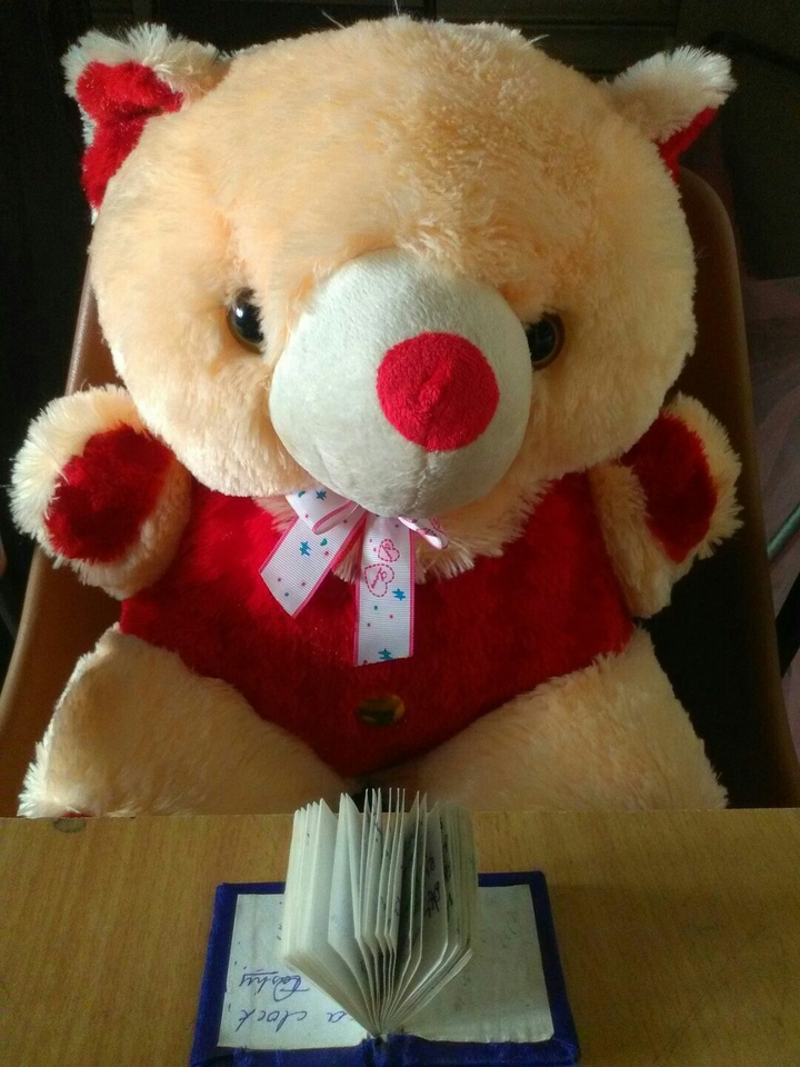 teddy