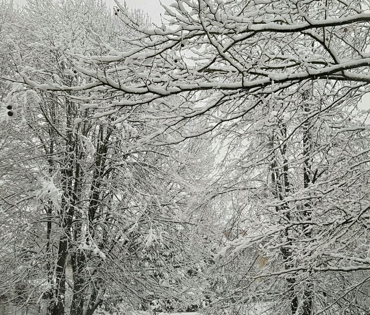 winterday