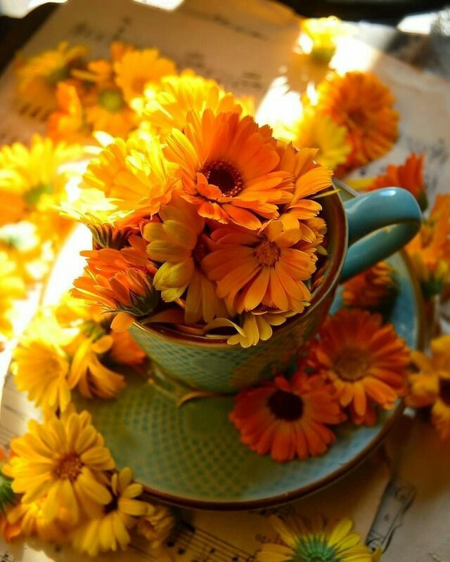 ☀