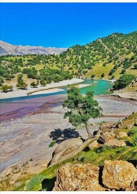 بیابان