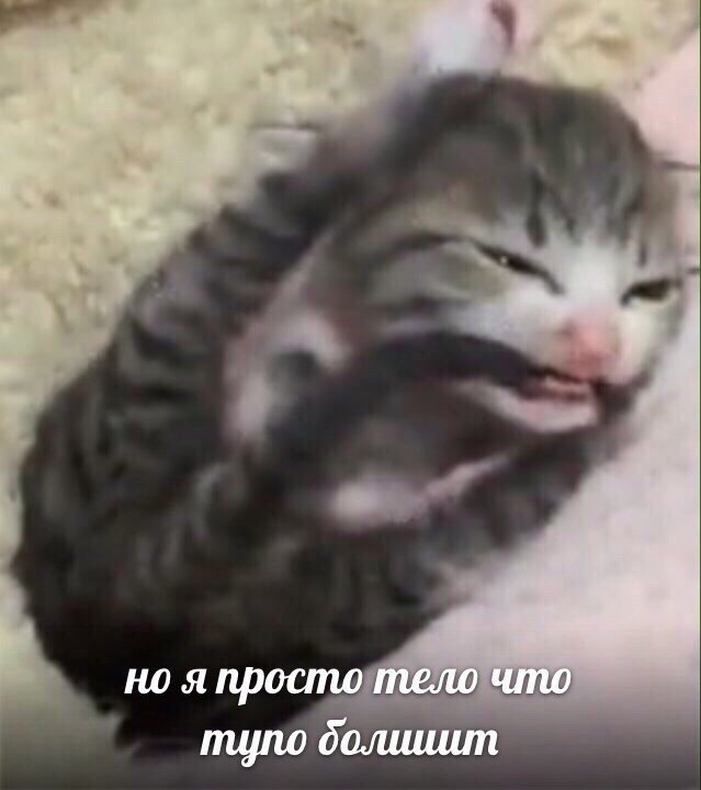 грустно, но вкусно