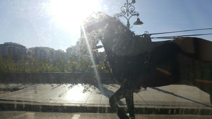 Sun And Horse