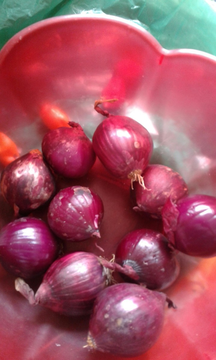cebola roxo