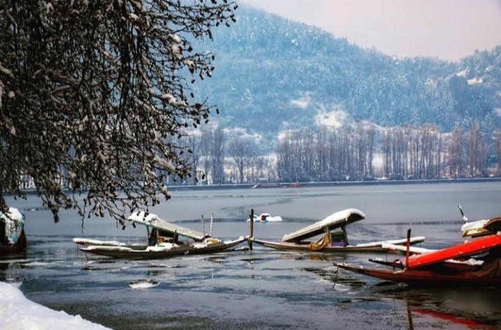 dal lake