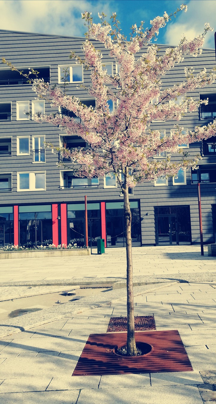 Spring