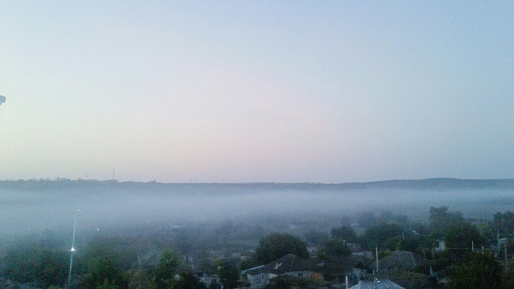 Foggy