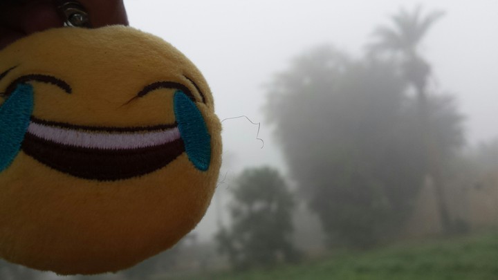 fog