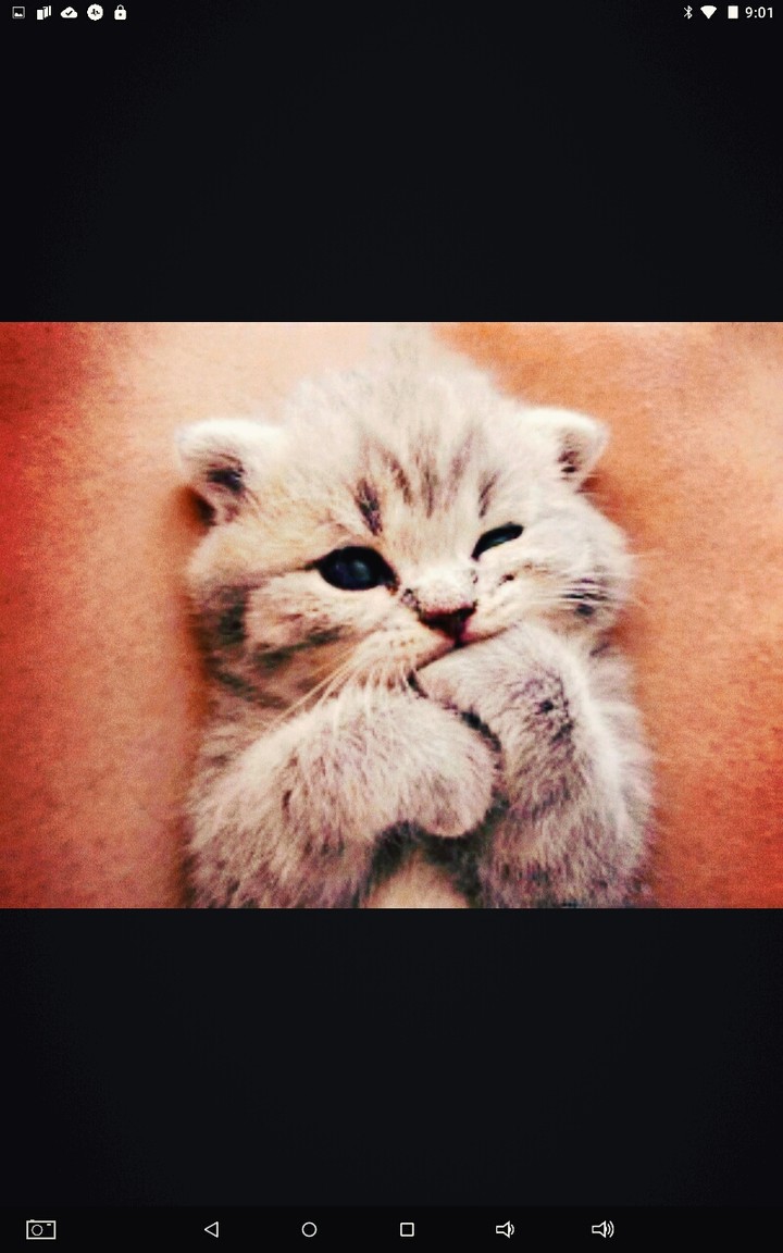 cutie pie I want him do you¿???