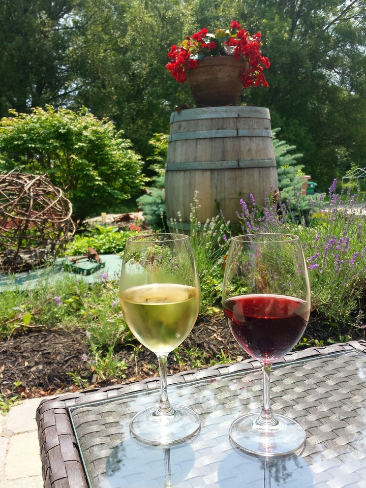 Summer days at a winery.....